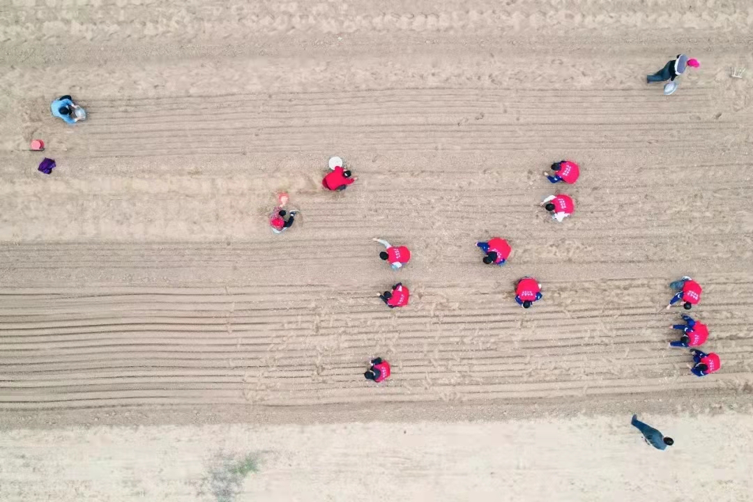 008.jpg 008.jpg